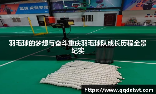 羽毛球的梦想与奋斗重庆羽毛球队成长历程全景纪实