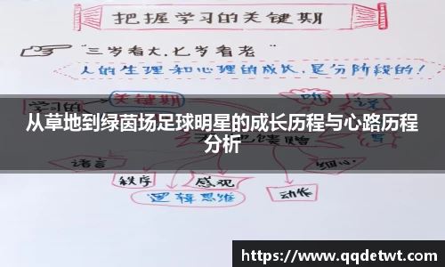 从草地到绿茵场足球明星的成长历程与心路历程分析